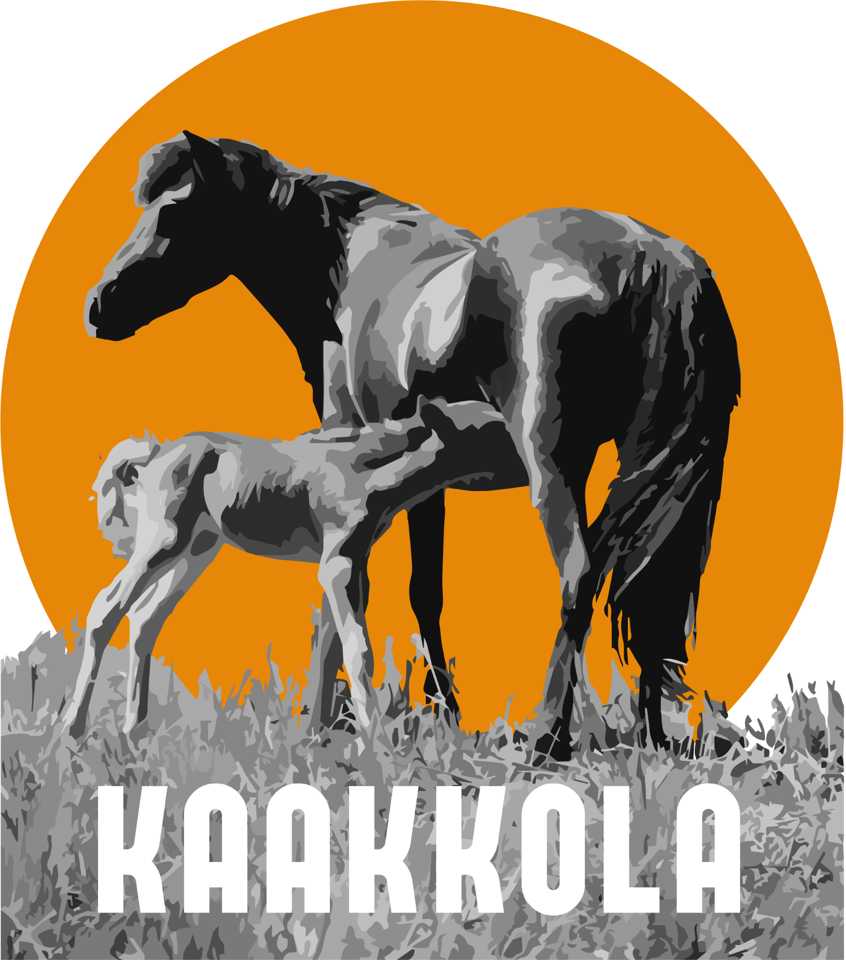 Kaakkolan tila